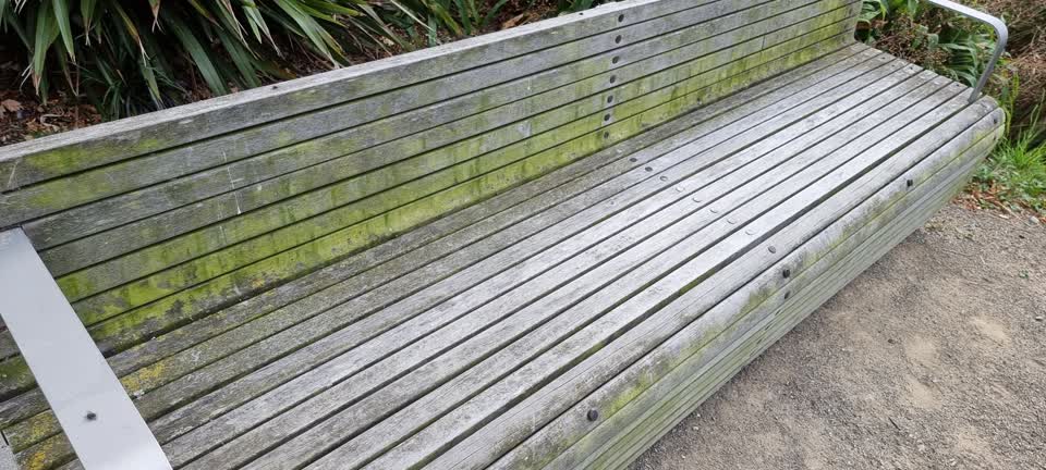 The photograph attached to this parks report