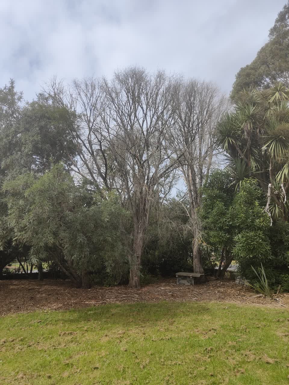 The photograph attached to this parks report