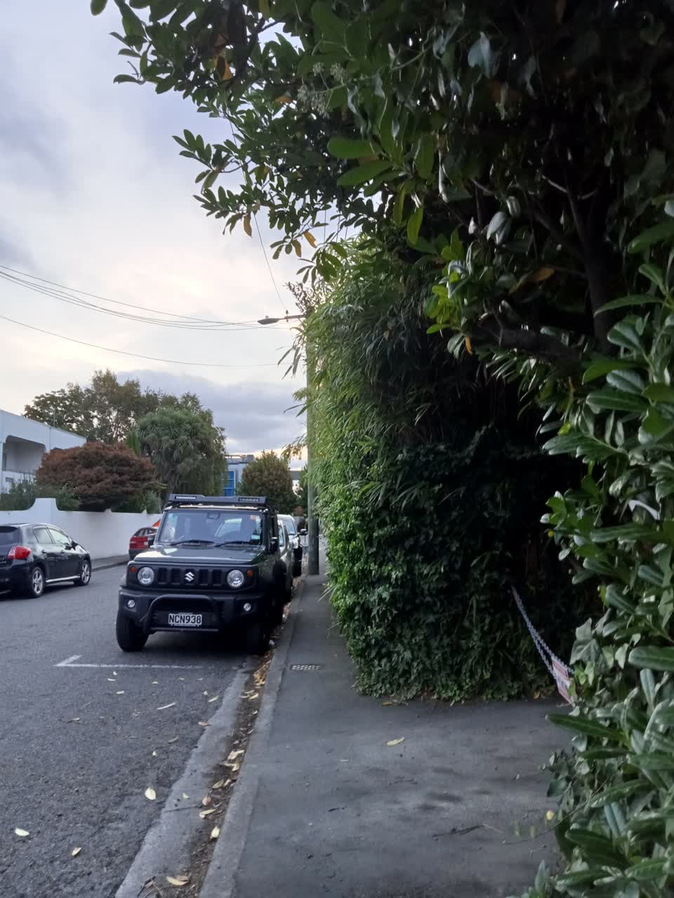 The photograph attached to this parks report