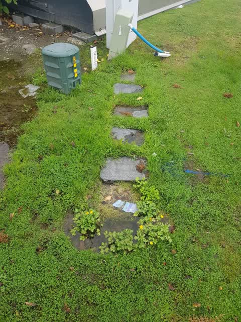 Water Leak, a report photo