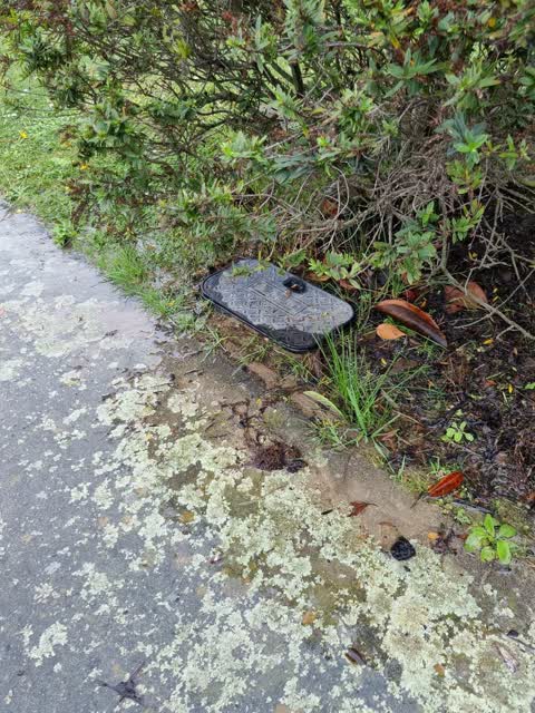 Water Leak, a report photo