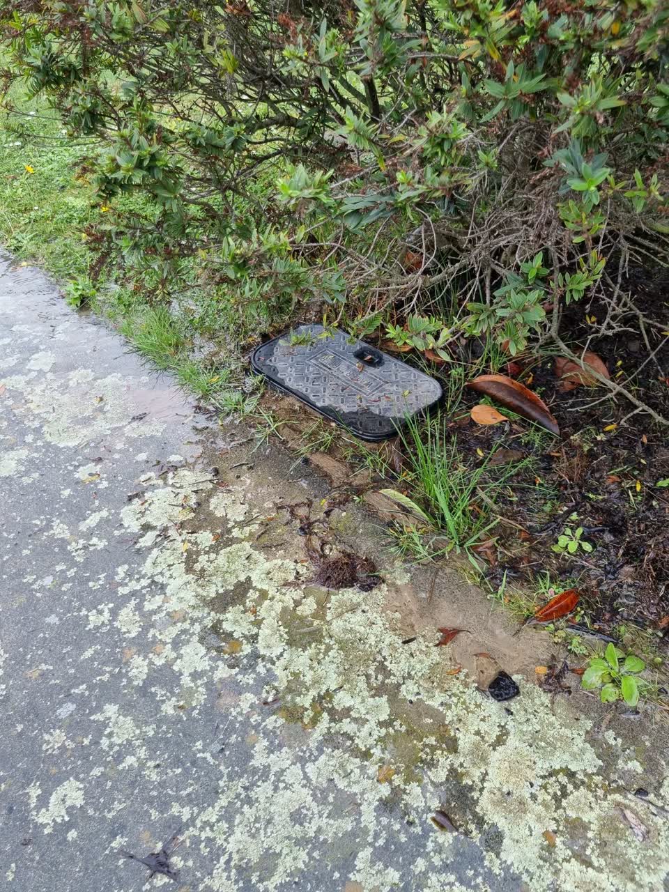 The photograph attached to this water leak report