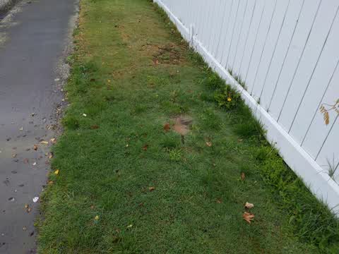 Water Leak, a report photo