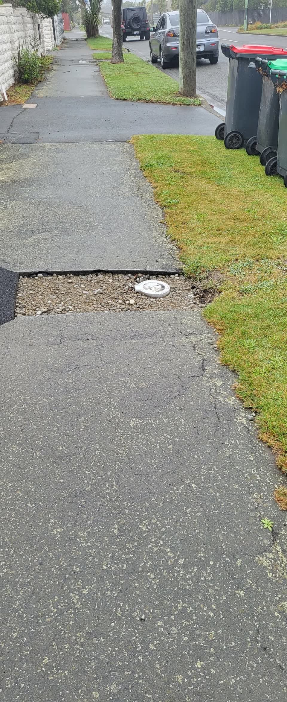 The photograph attached to this roading/streets report
