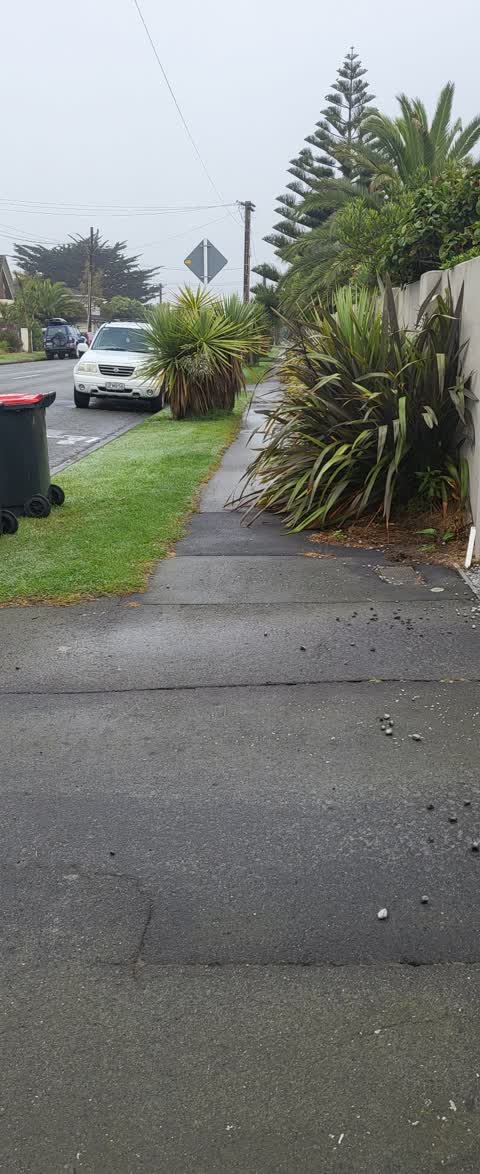Roading/Streets, a report photo
