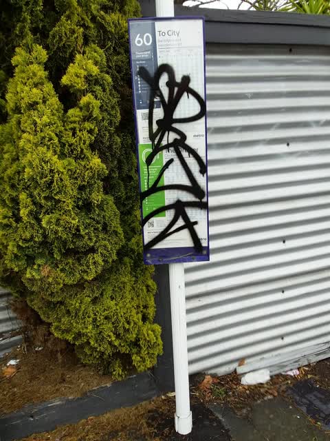 Graffiti, a report photo