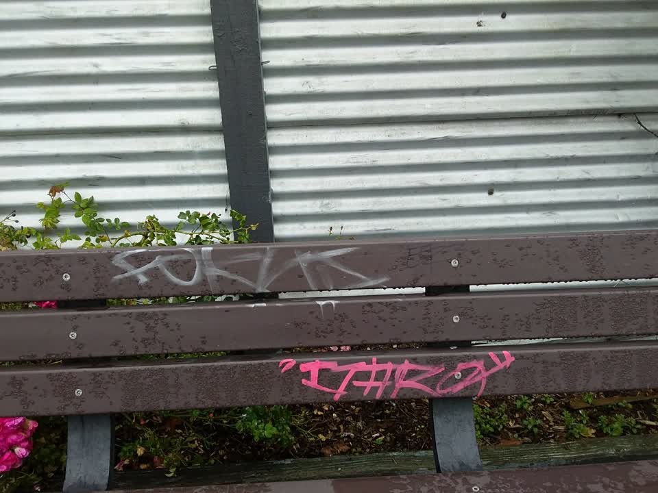 The photograph attached to this graffiti report