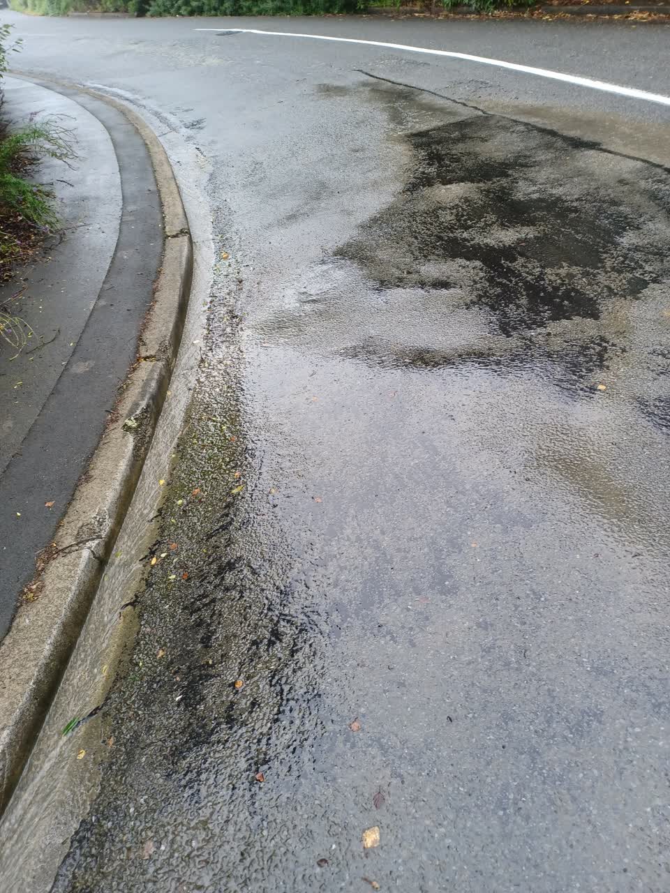 The photograph attached to this water leak report