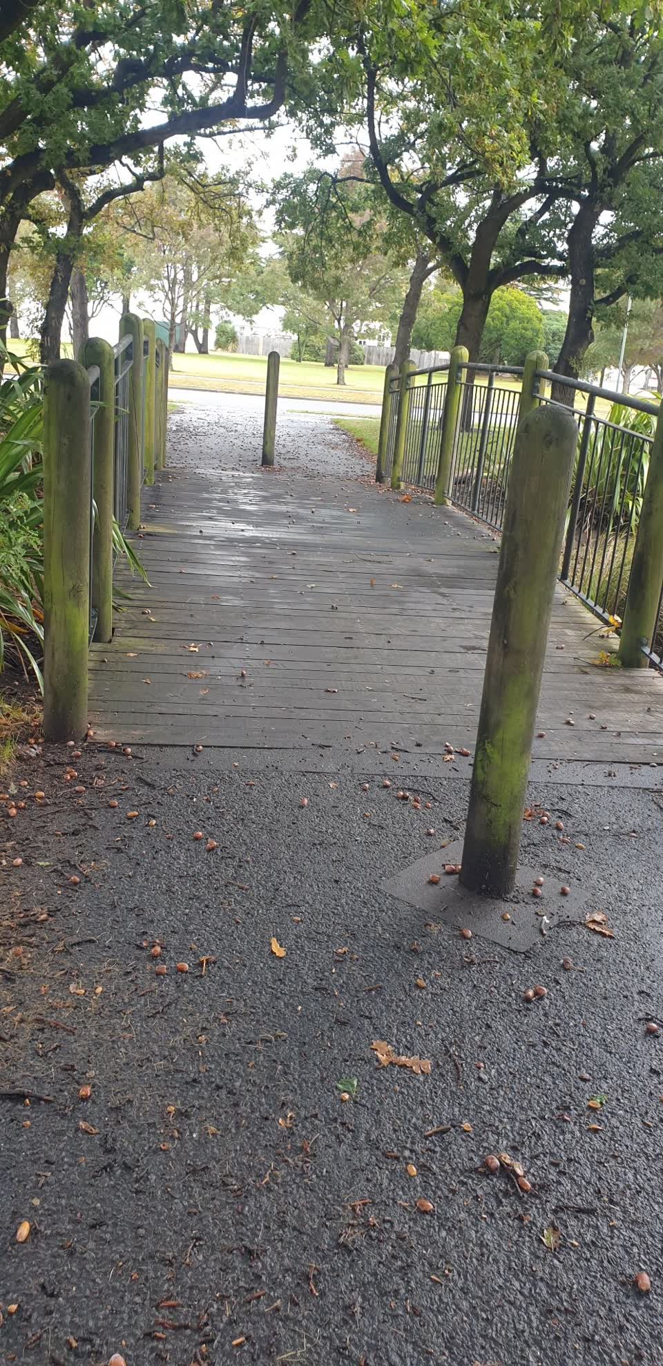 The photograph attached to this parks report