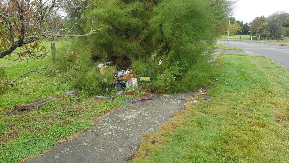 The photograph attached to this rubbish/recycling report