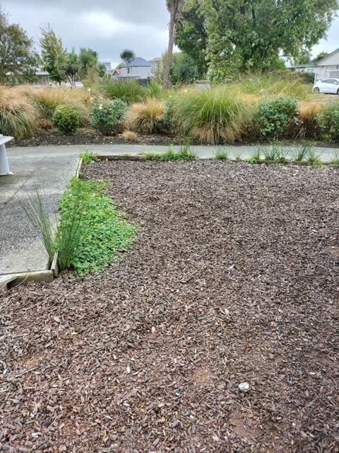Parks — a report photo