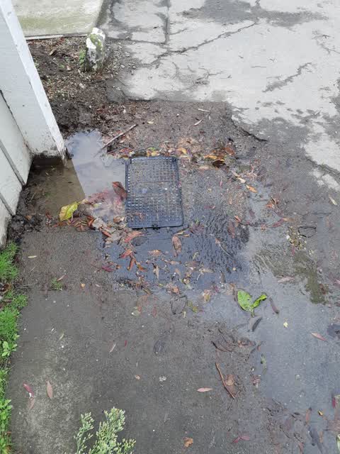 Water Leak, a report photo