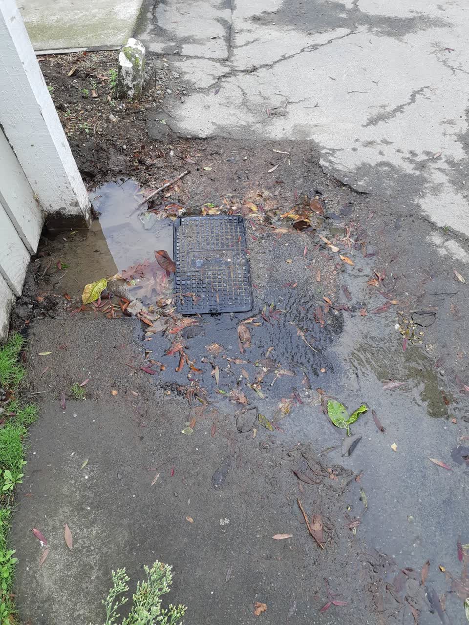 The photograph attached to this water leak report