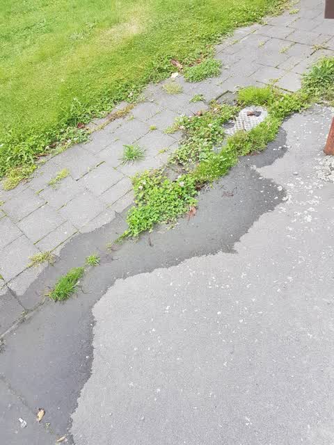 Water Leak, a report photo