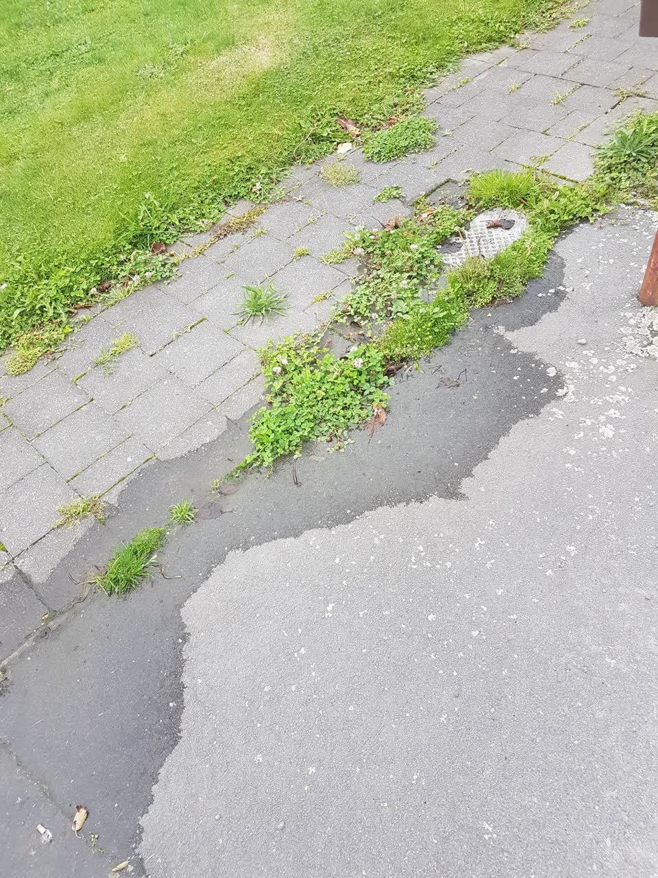 The photograph attached to this water leak report