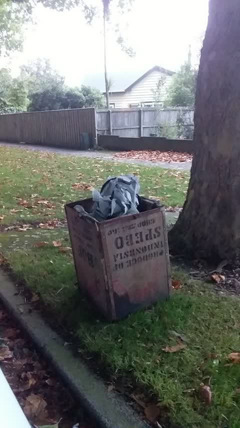Rubbish/Recycling, a report photo