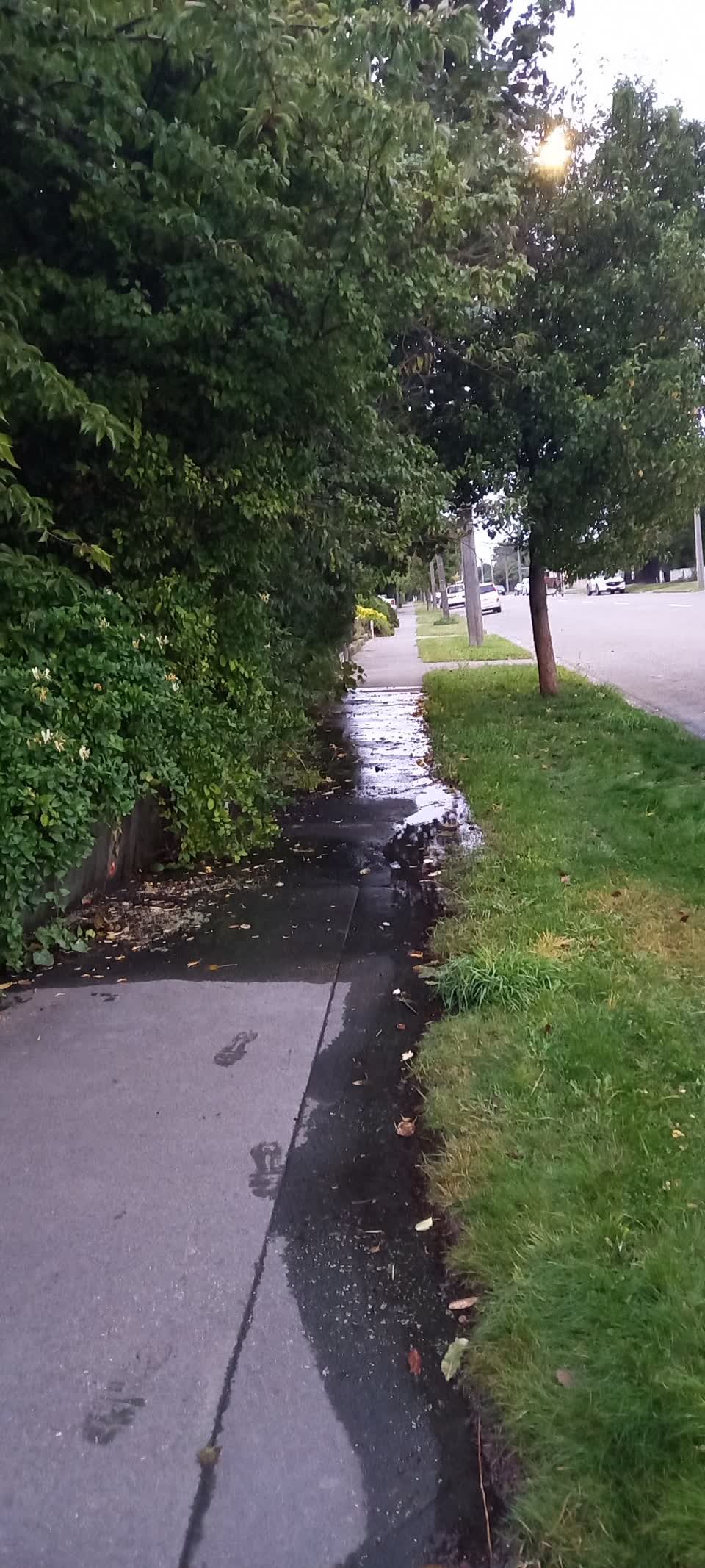 The photograph attached to this water leak report