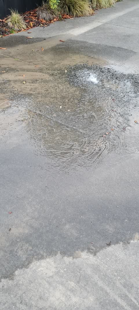 Water Leak, a report photo