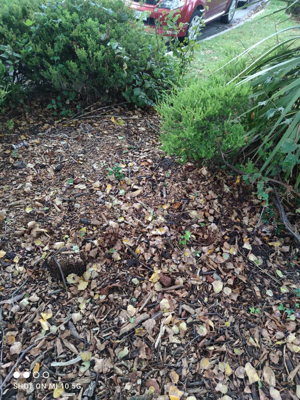 The photograph attached to this parks report