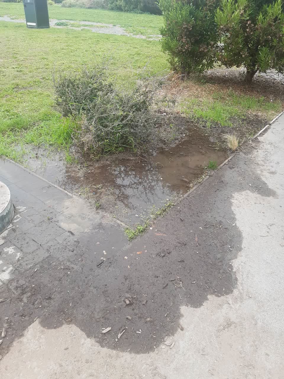 The photograph attached to this water leak report