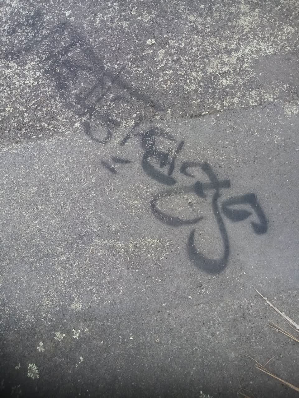 The photograph attached to this graffiti report