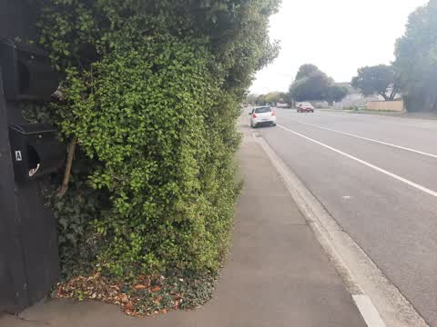 Roading/Streets, a report photo