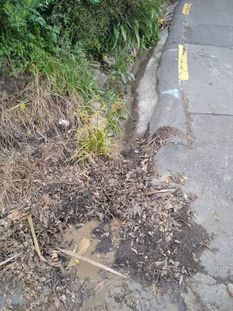 Wastewater/Stormwater, a report photo
