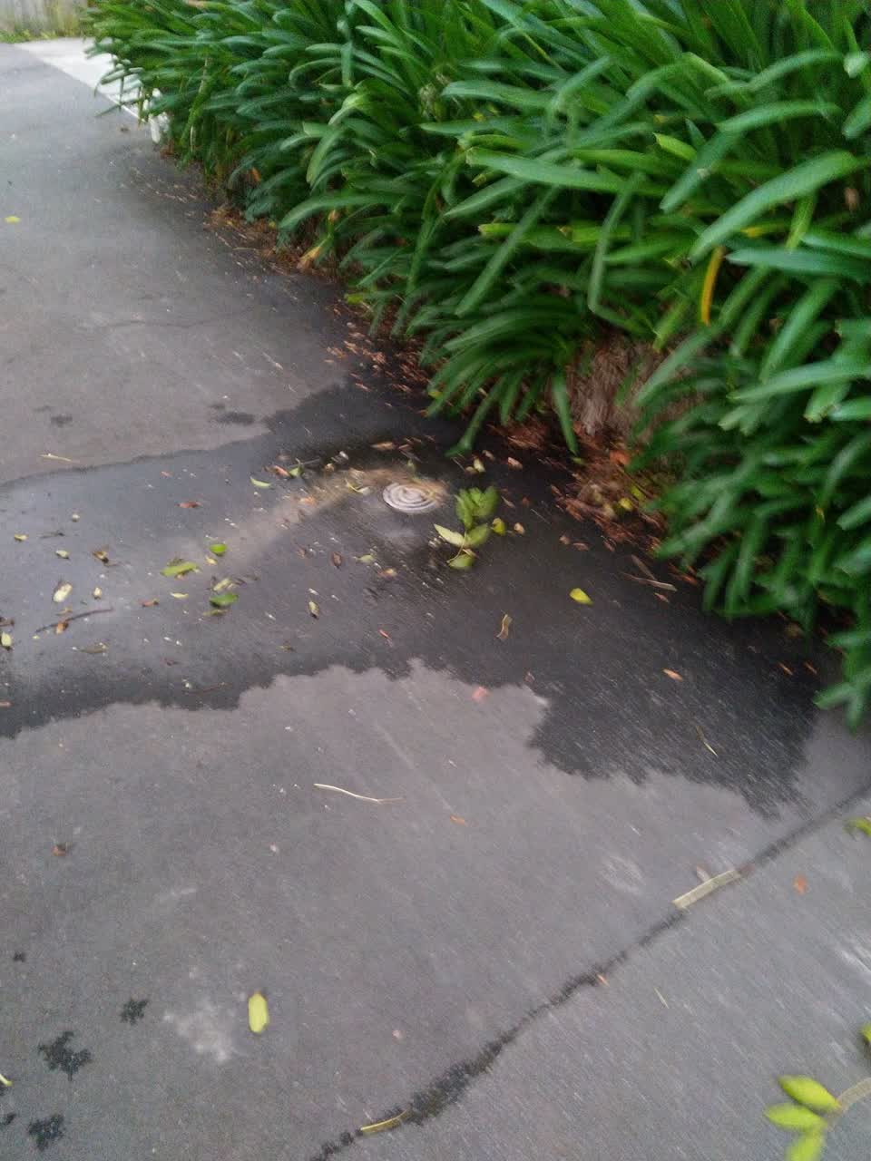 The photograph attached to this water leak report