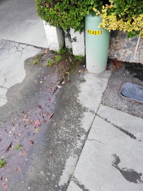 Water Leak, a report photo