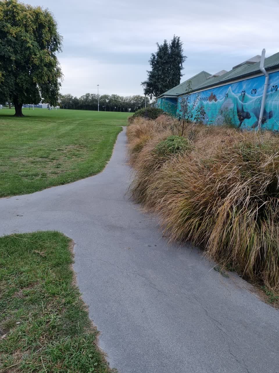 The photograph attached to this parks report