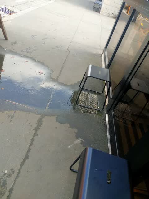 Water Leak — a report photo