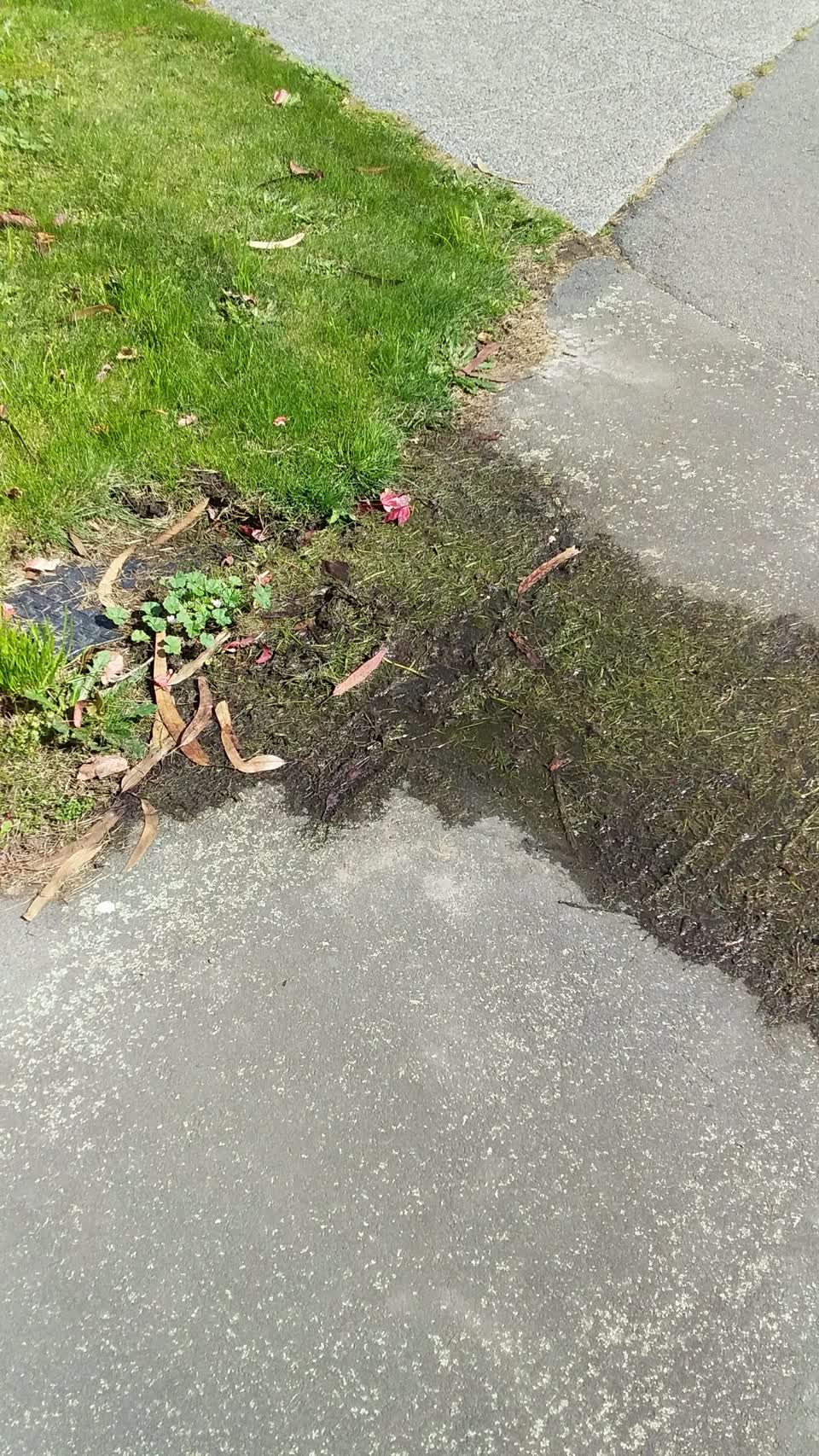The photograph attached to this water leak report