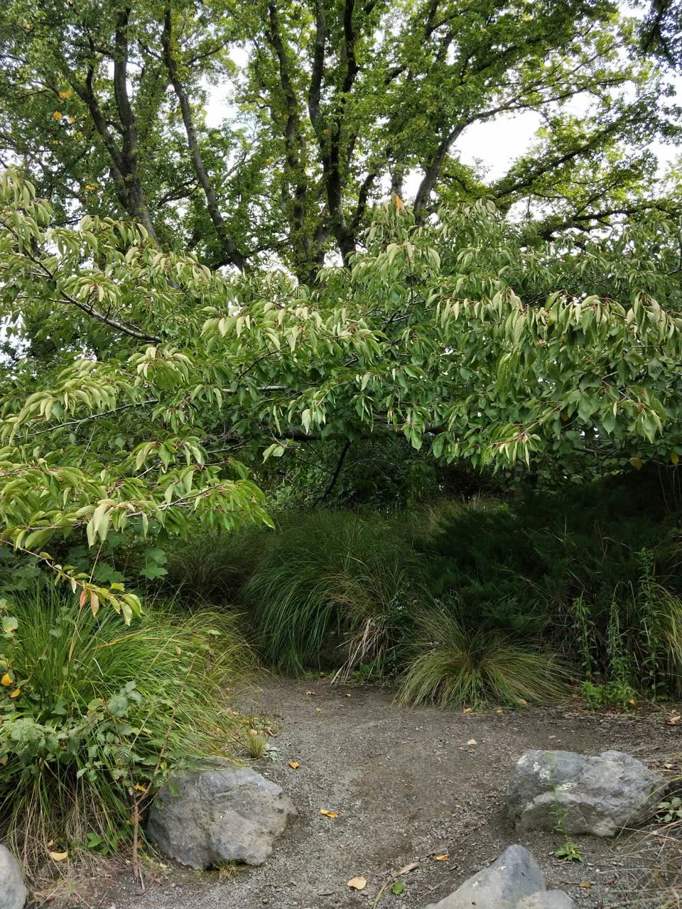 The photograph attached to this parks report