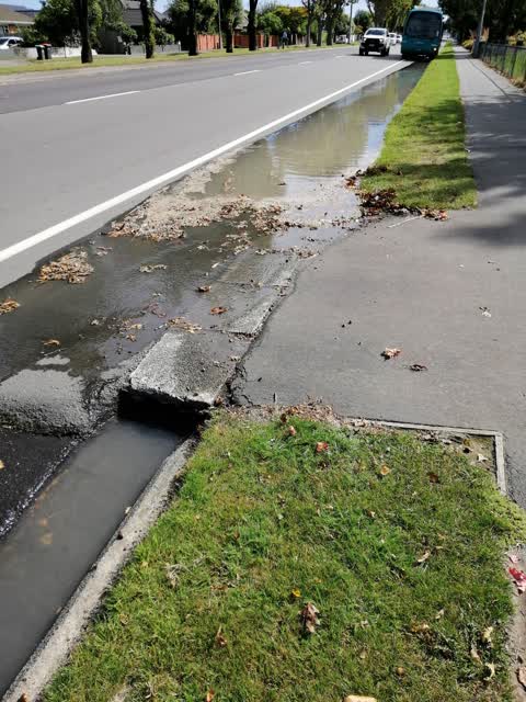 Water Leak, a report photo