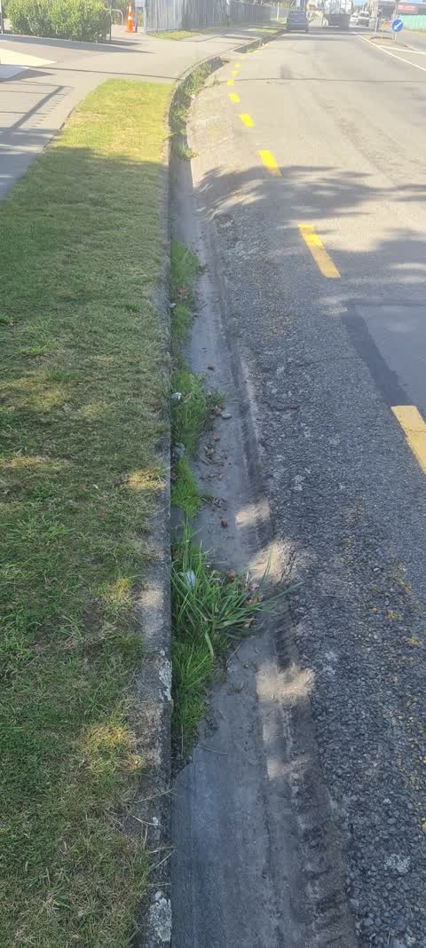 Roading/Streets, a report photo