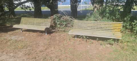 Parks, a report photo