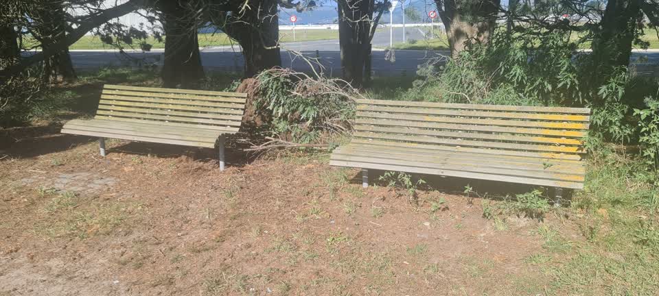 The photograph attached to this parks report