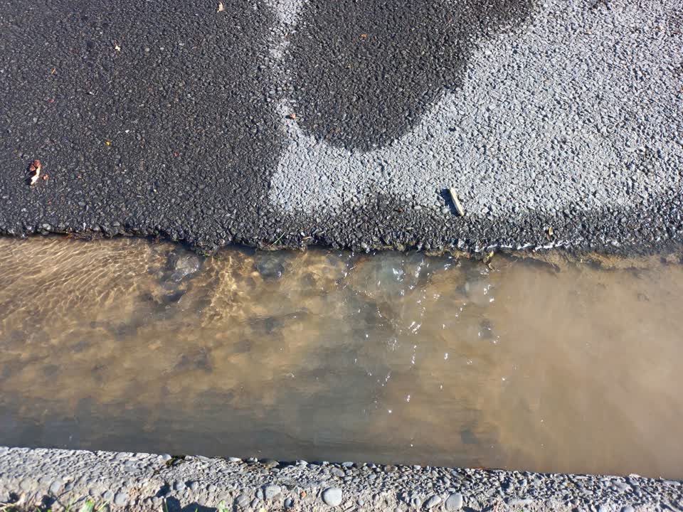 The photograph attached to this water leak report