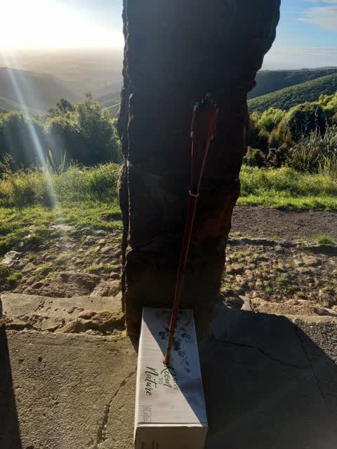 General Request, a report photo