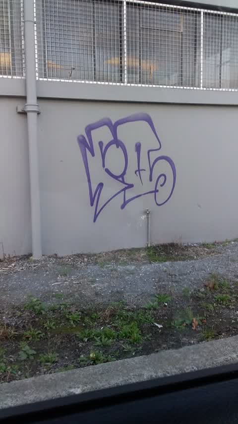 Graffiti, a report photo