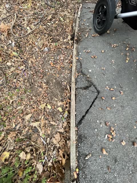 Roading/Streets — a report photo