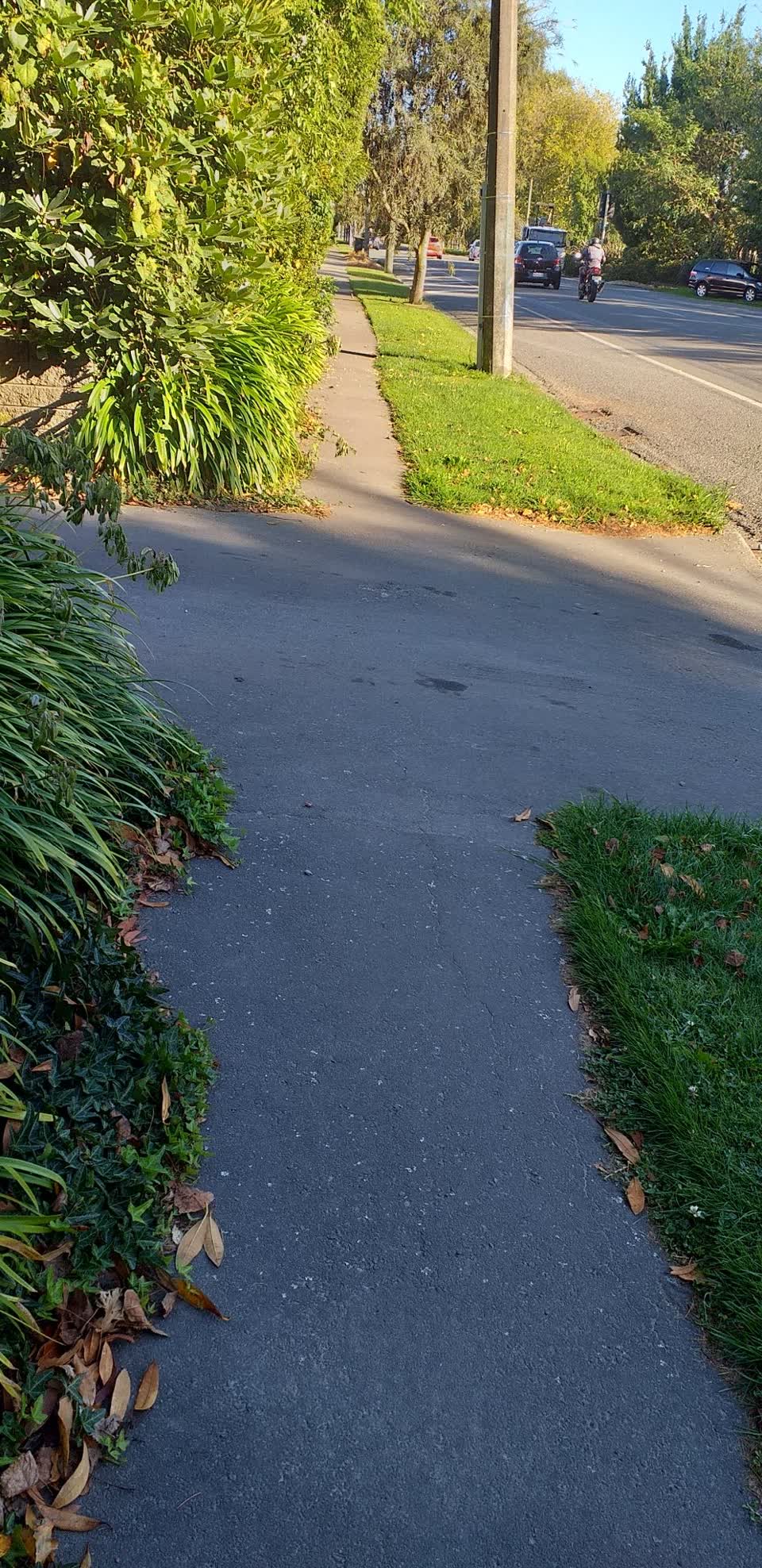 The photograph attached to this roading/streets report