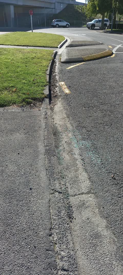 Roading/Streets, a report photo