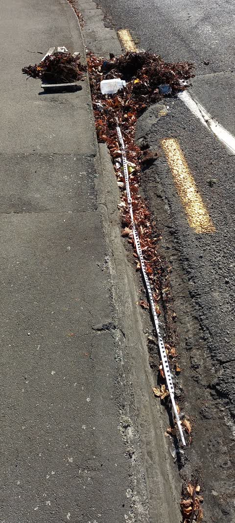 Roading/Streets, a report photo