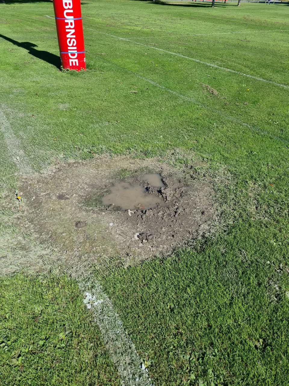 The photograph attached to this parks report