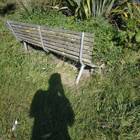 Roading/Streets — a report photo
