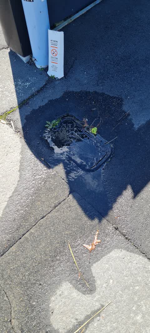 Water Leak, a report photo