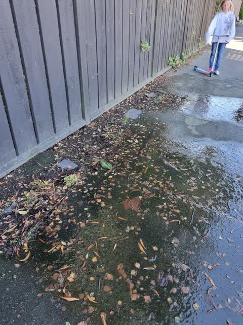 Water Leak, a report photo