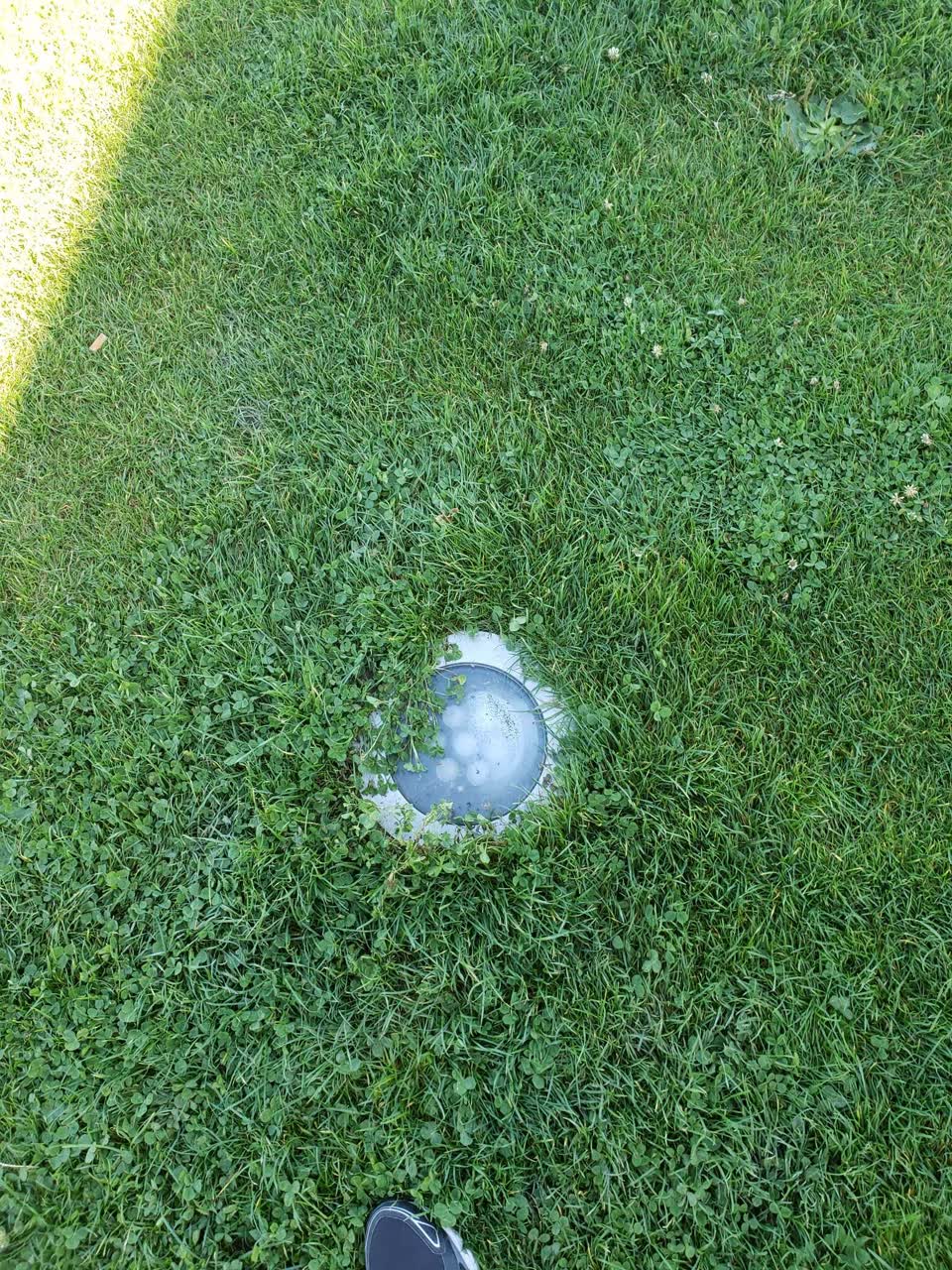 The photograph attached to this parks report