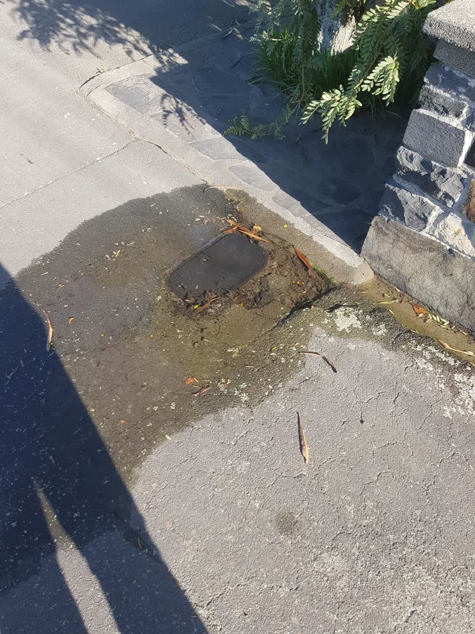 The photograph attached to this water leak report